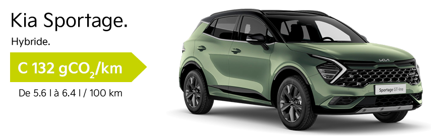 CO2-SPORTAGE132 polluscore_kia_picanto